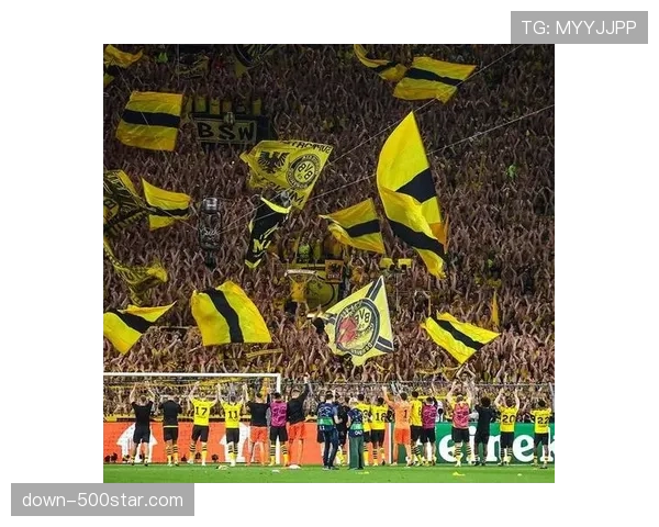 欧冠半决赛首回合门票收入创纪录，多特蒙德主场收入居首