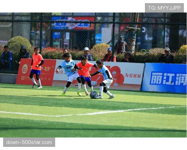 云南组建省足球队，打响“滇”字号社会足球品牌